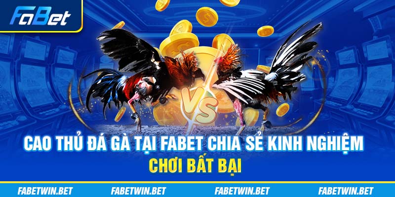 Cao thủ đá gà tại Fabet chia sẻ kinh nghiệm chơi bất bại